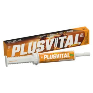 PLUSVITAL - Pós-prova eletrolítico