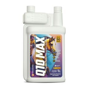 Q10 MAX