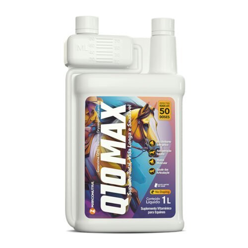 Q10 MAX